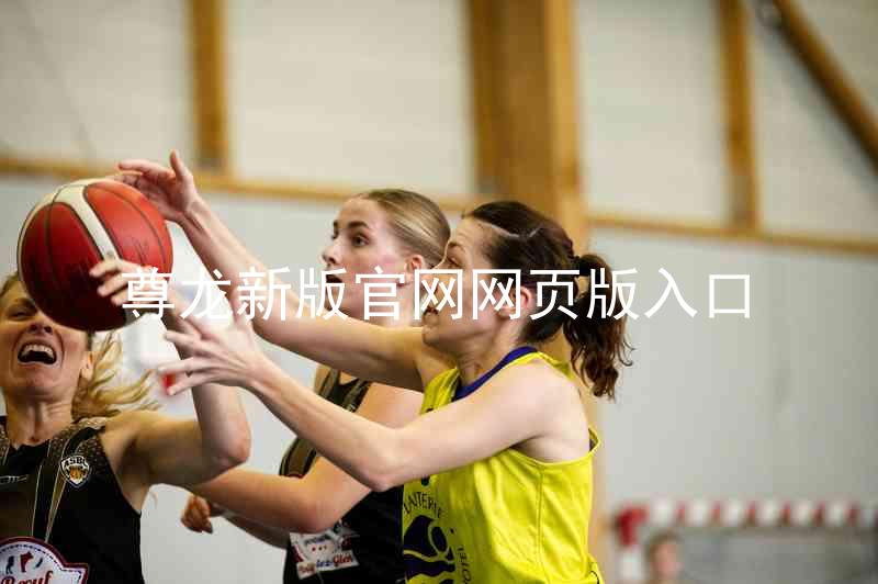 尊龙新版官网网页版入口