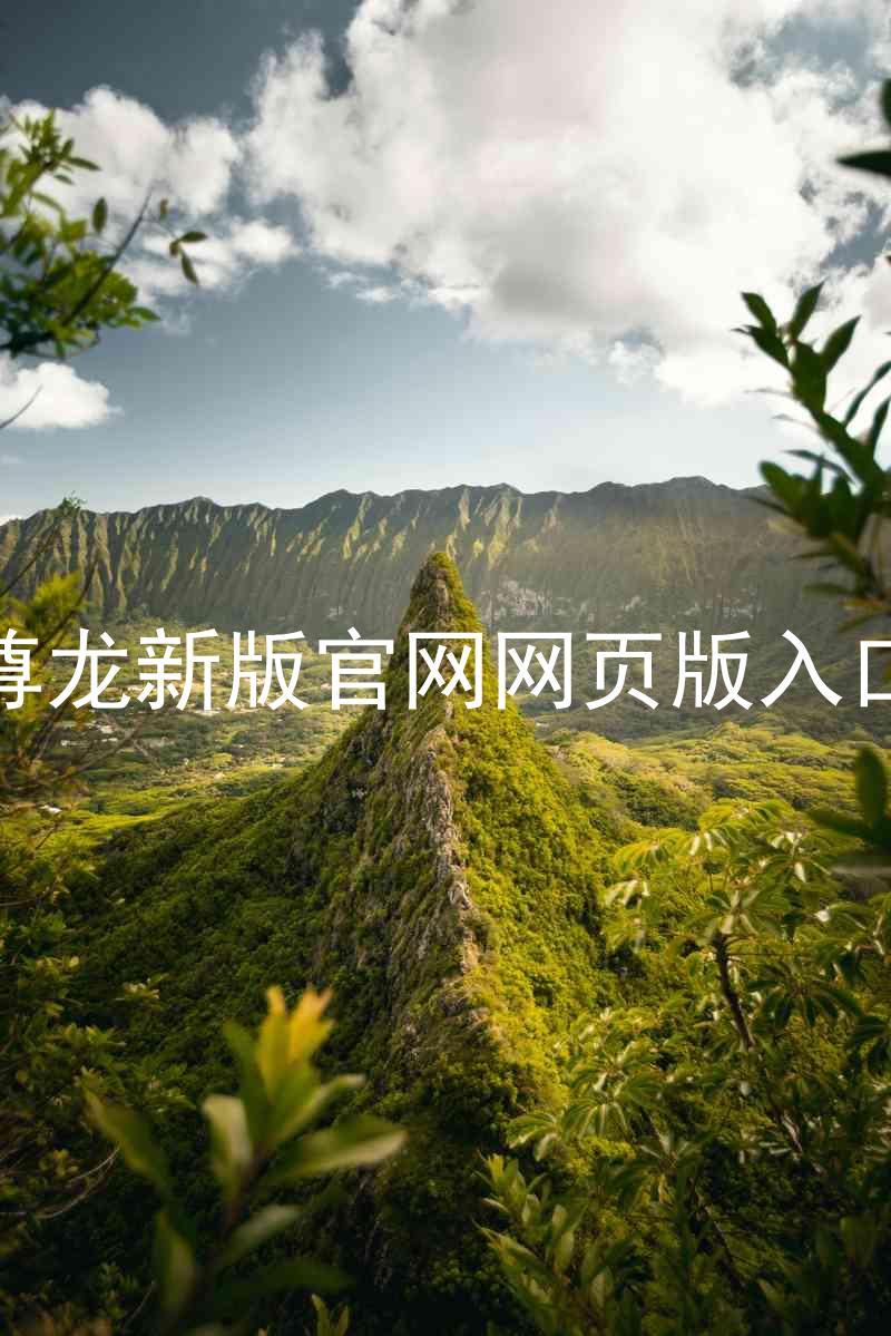 尊龙新版官网网页版入口